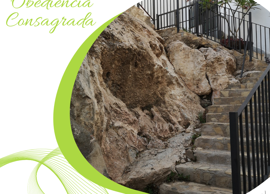 Obediencia Consagrada (35)