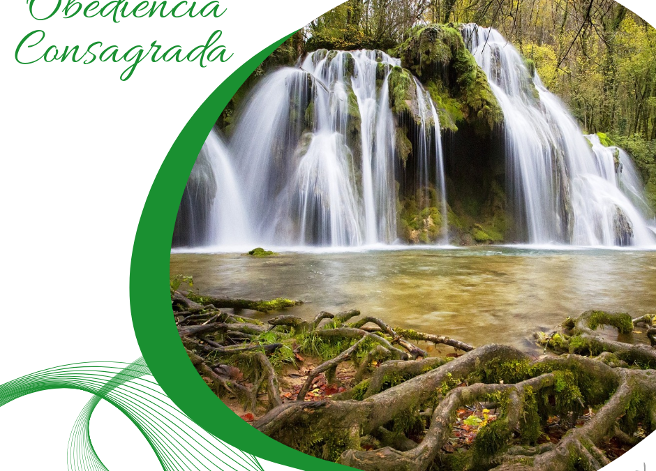 Obediencia Consagrada (31)