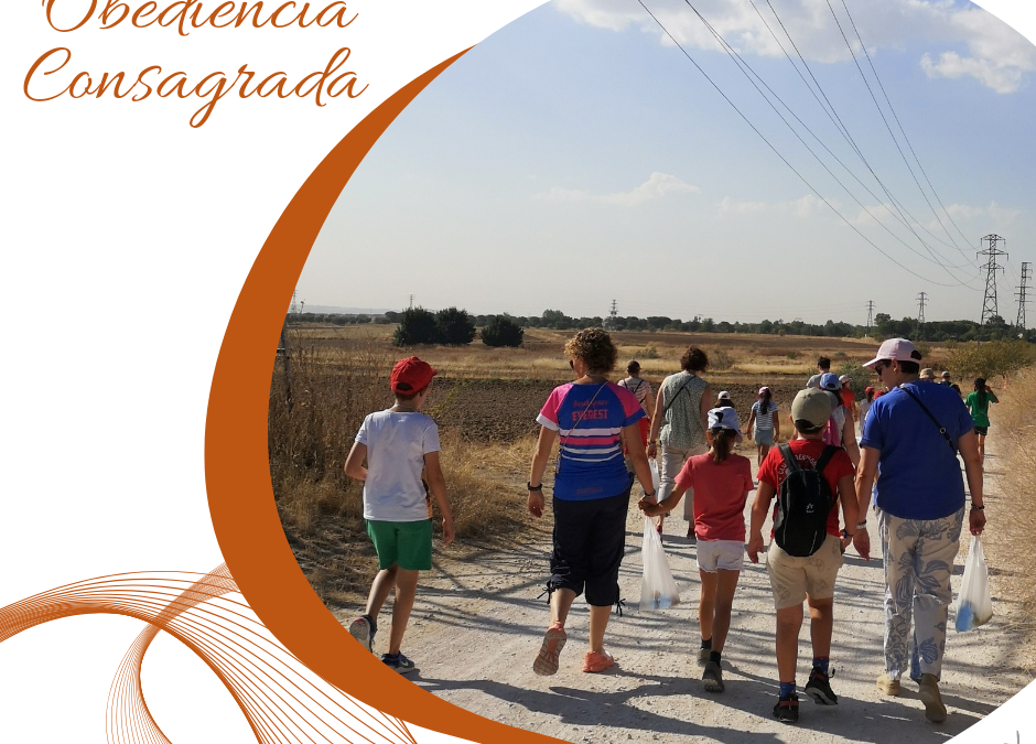 Obediencia Consagrada (38)
