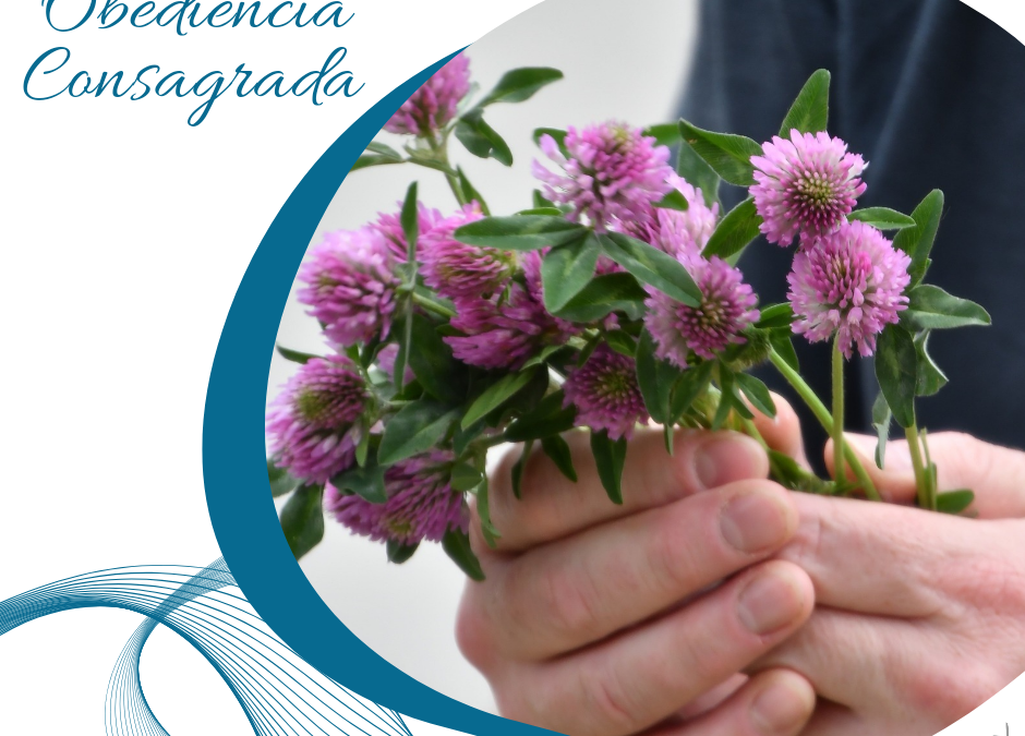 Obediencia Consagrada (45)