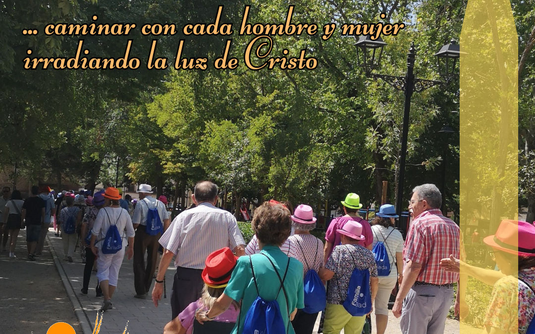 Sínodo de la Sinodalidad (24.18)