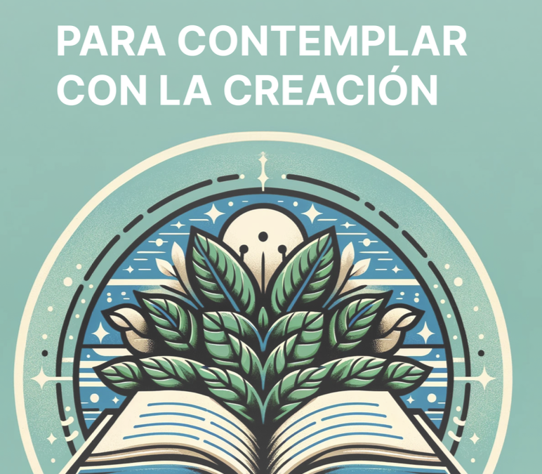 Guía del MLS para contemplar con la creación