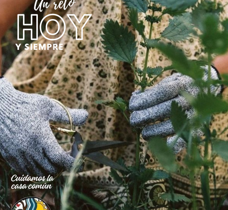 Cuidamos la casa común (25.2)