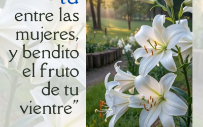 Visitación de María 