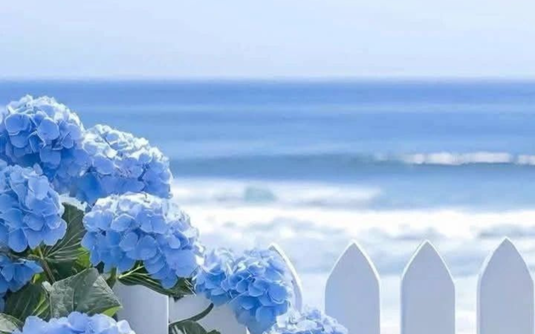 XIV DOMINGO DEL TIEMPO ORDINARIO. Jornada de Responsabilidad en la Carretera