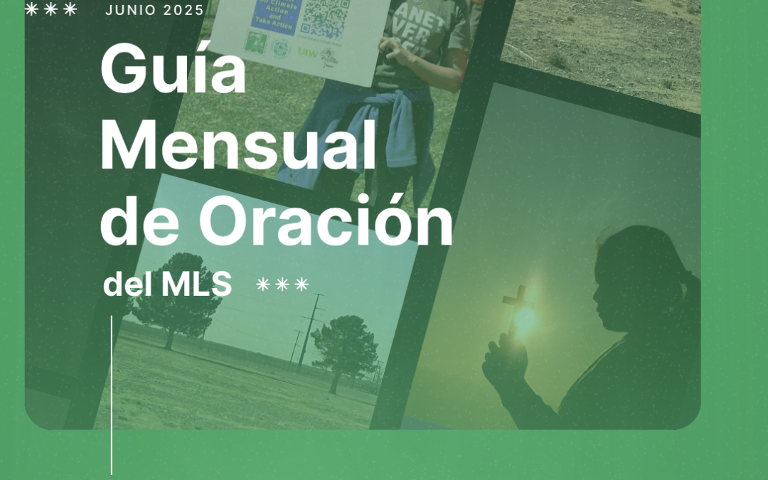 Guía mensual oración Movimiento Laudato Si’ Junio 2025