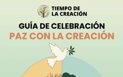 Tiempo de la creación 2025