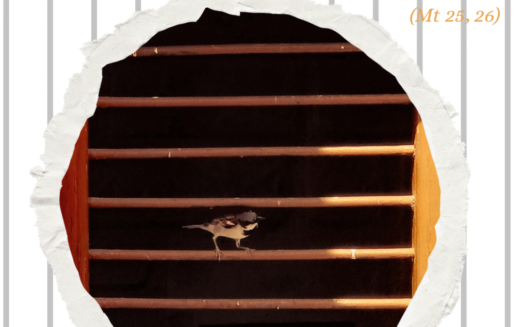 Nuestra Señora de la Merced. Patrona de las Instituciones Penitenciarias