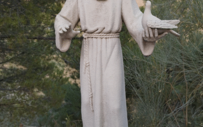 San Francisco de Asís.  Cuidamos la casa común (25-10)