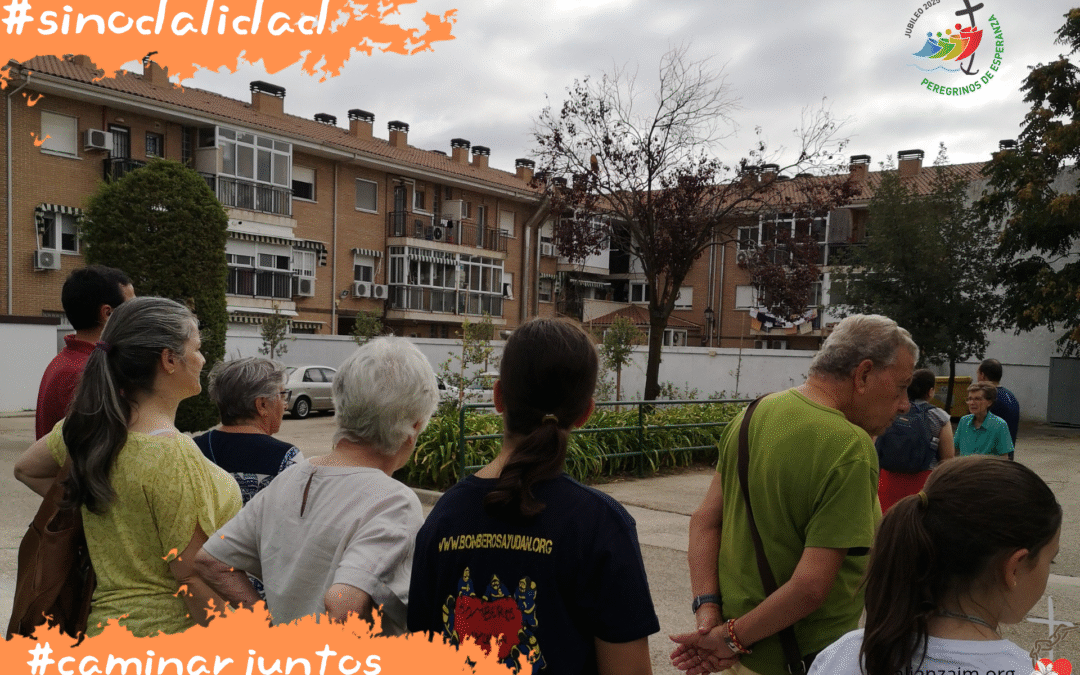Sinodalidad (25.10)