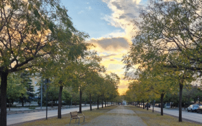 Cuidamos la casa común (25.11)