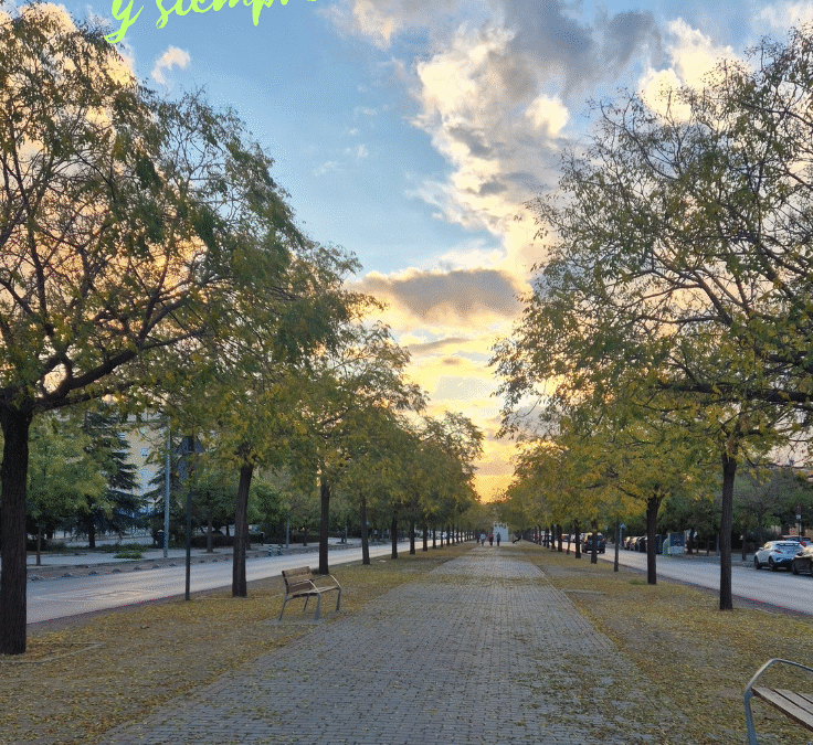 Cuidamos la casa común (25.11)