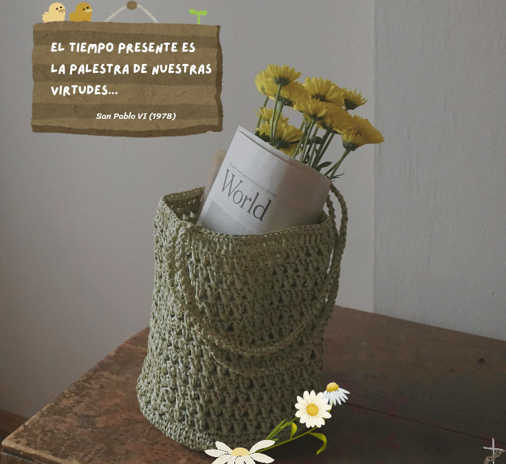 XXXIII Domingo T.O.  C