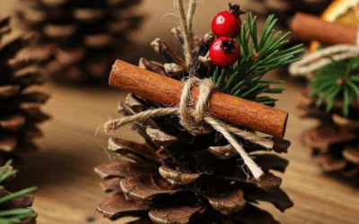 Cuidamos la casa común (25.12)