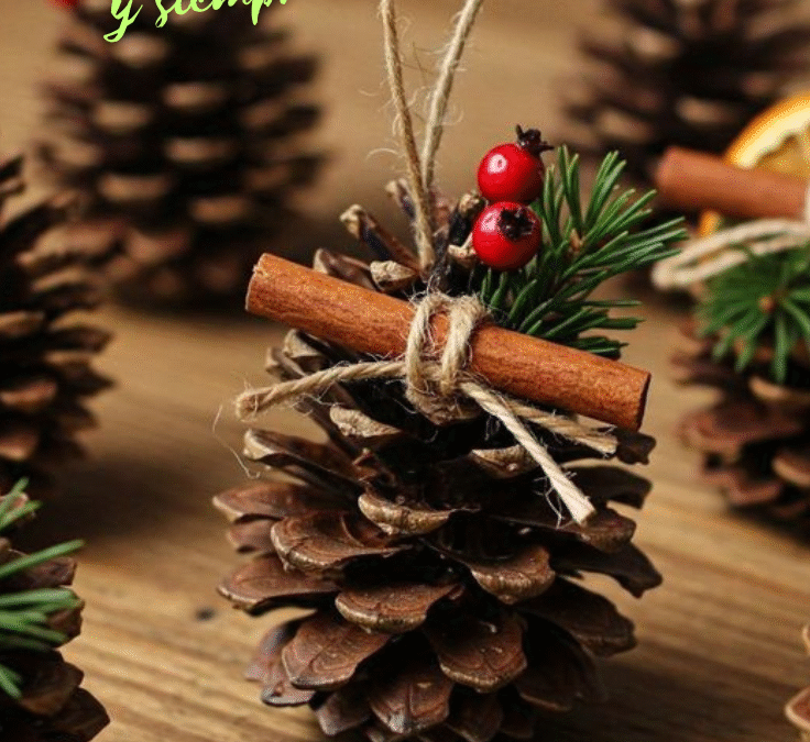 Cuidamos la casa común (25.12)