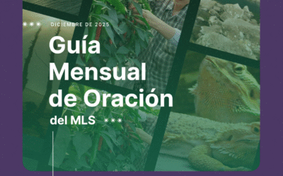 Guía mensual de Oración Movimiento Laudato Si. Diciembre 25