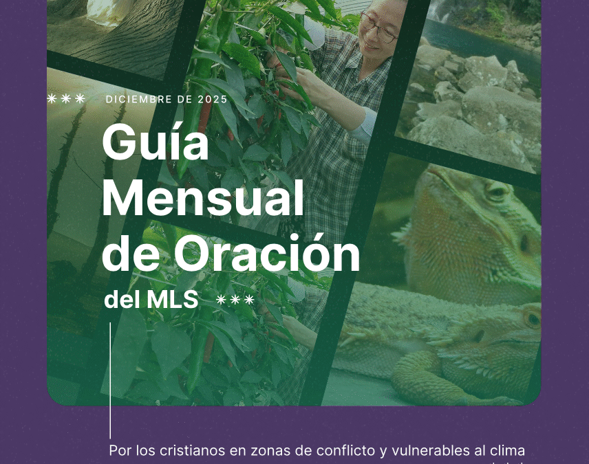 Guía mensual de Oración Movimiento Laudato Si. Diciembre 25