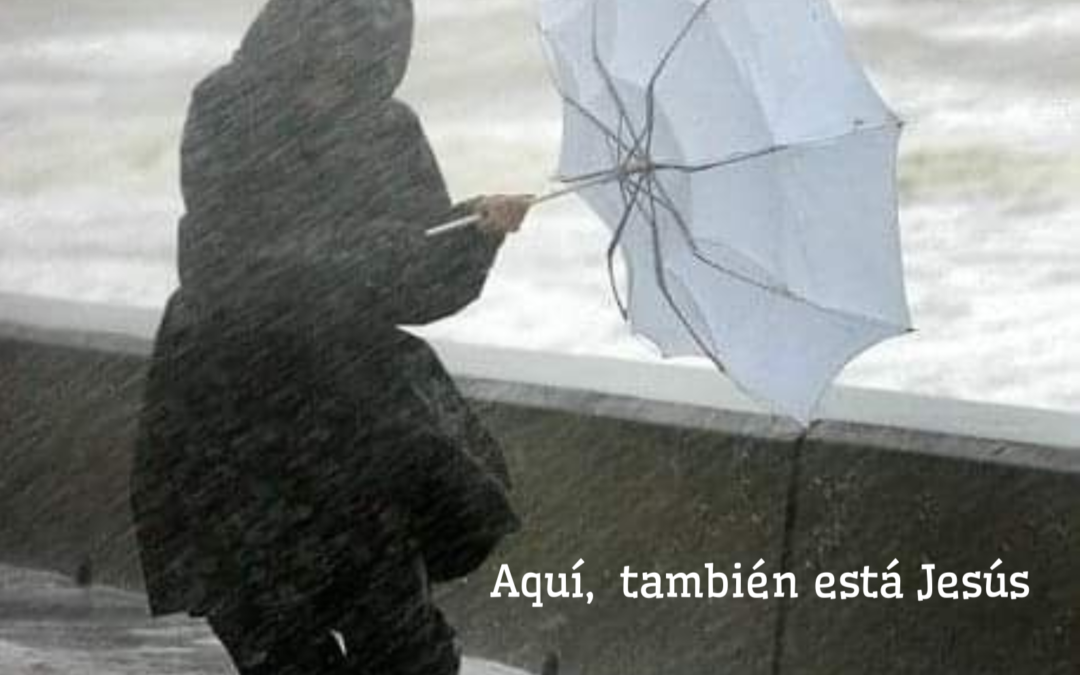 Domingo XIX TO