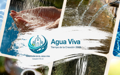 Tiempo de la creación 1 septiembre  a 4 octubre 2026