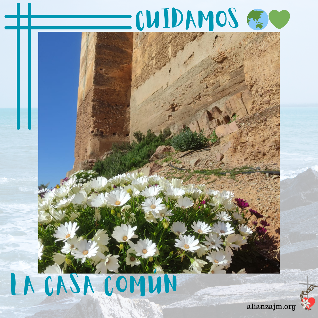 4-abril-Cuidamos de la casa común (24-5) copia