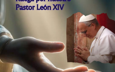 Encomendamos la salud de nuestro Papa León XIV.